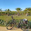 E-Bike