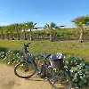 E-Bike